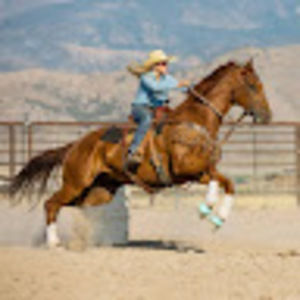 Meet your Posher, Chesney